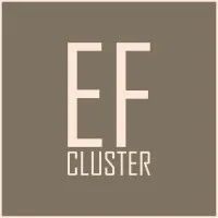 Ukrainian interior design and furniture cluster "EF CLUSTER"​