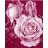 California Special Occasions