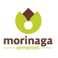 Morinaga Sementes