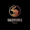 Salesforce Jungle Salesforce Jungle
