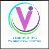 Veritas IT INC Veritas IT INC