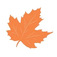 Maple Business Solutions