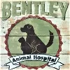 Bentley Animal Hospital Bentley Animal Hospital