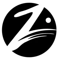 Z Global Techs LLC