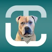 Chris Thieme Consulting GmbH