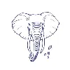 The Elephant Coffee The Elephant Coffee
