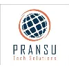 Pransu Tech Solutions