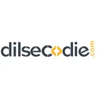 dilsecodie dilsecodie