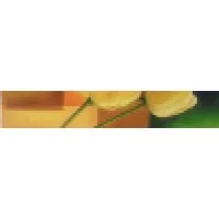 independient artist