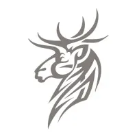 Deer Brook Consulting