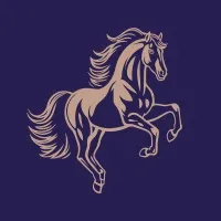 Fillmore Capital Partners