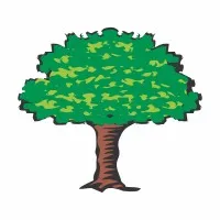 Shah Investor's Home Ltd.