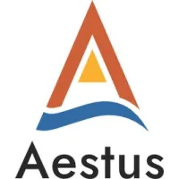 Aestus, LLC