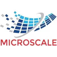 MICROSCALE TECHNOLOGY PRIVATE LIMITED