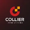 Collier Connecting Collier Connecting