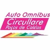 Auto Omnibus Circullare Poços de Caldas Auto Omnibus Circullare Poços de Caldas