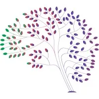 Mini Minds Child & Adolescent Health