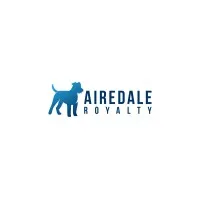 Airedale Royalty
