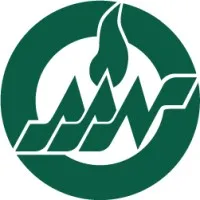 American Academy of Nursing American Academy of Nursing