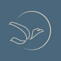 American Aircraft Sales