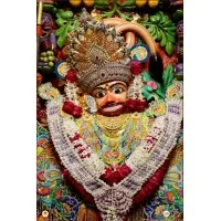 Shree Salangpur Group