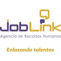 JOB LINK MEXICO SA DE CV