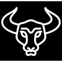 Brazen Bull Creative Marketing