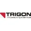 Trigon Consulting GmbH & Co. KG Trigon Consulting GmbH & Co. KG
