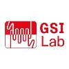 GSI Lab GSI Lab