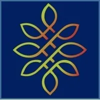 V-Neo Business Corp