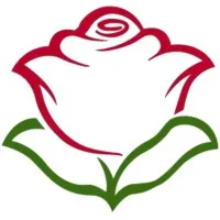Zaeem Flowers email format