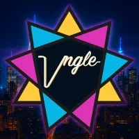 Vngle: The Civic Insights Company