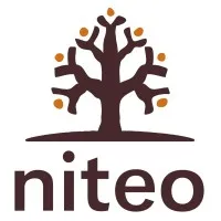 Niteo Africa