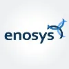 The Enosys Group