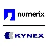 KYNEX INC KYNEX INC
