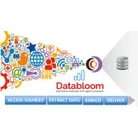 DataBloom Consulting