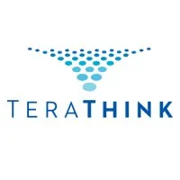 TeraThink Corporation