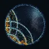 Concerto Biosciences Concerto Biosciences