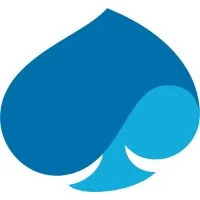Capgemini Institut
