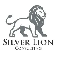 Silver Lion Consulting Silver Lion Consulting