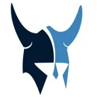 Viking InfoTech LLC