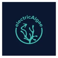 Electricalgae