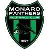 Monaro Panthers FC