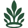 Maia Wealth