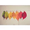 Turning Leaf Behavioral Health Services Turning Leaf Behavioral Health Services