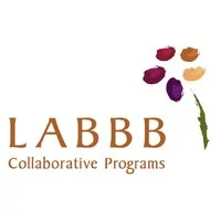 LABBB COLLABORATIVE CORP