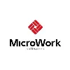 Microwork Software Microwork Software