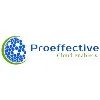 Proeffective IT Services