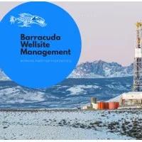 Barracuda Wellsite Management Ltd