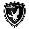 Rossion Automotive Rossion Automotive